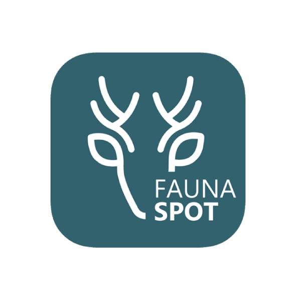 FaunaSpot3